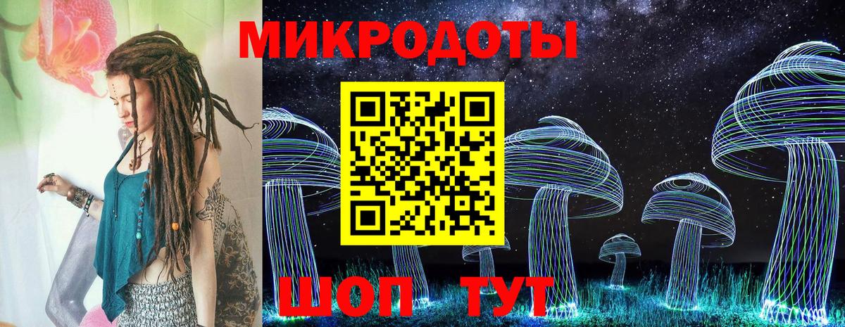 Галлюциногенные грибы Psilocybe Пыть-Ях